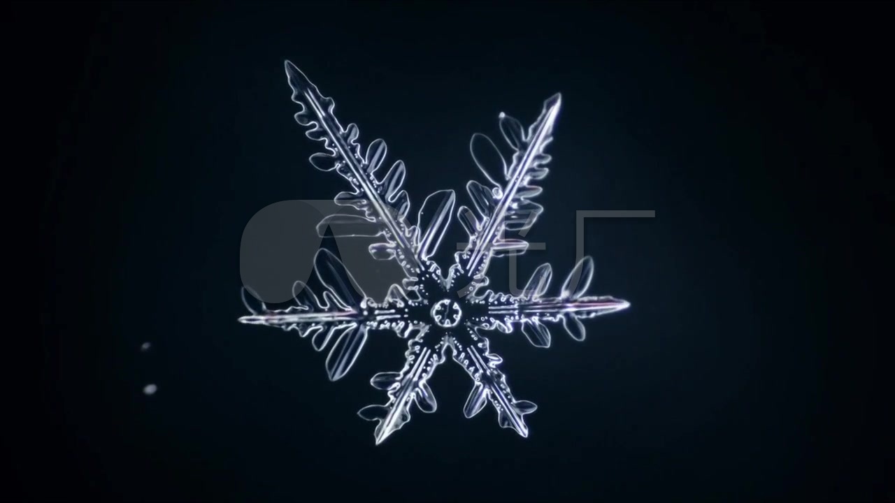 冰晶雪花生长_结冰过程特写延时摄影视频素