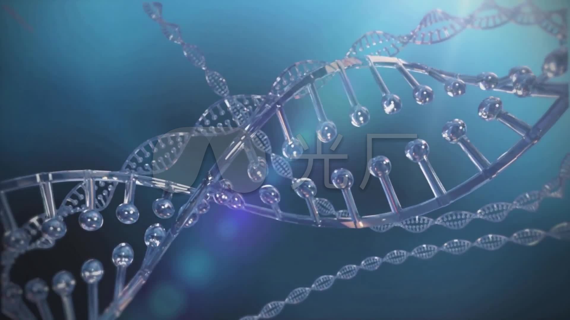人体dna_1920x1080_高清视频素材下载(编号:1095151)_实拍视频_vj师网