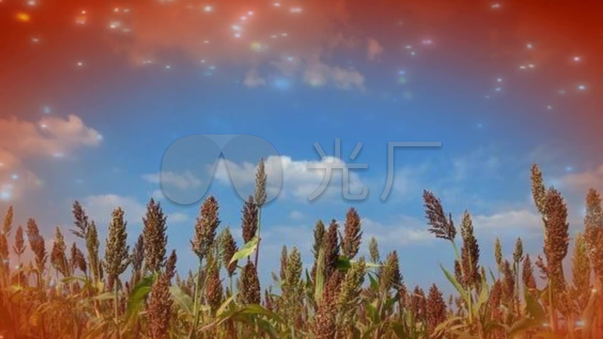 《红高粱》歌曲伴奏舞台背景配乐成品led_1920x1080_高清视频素材下载