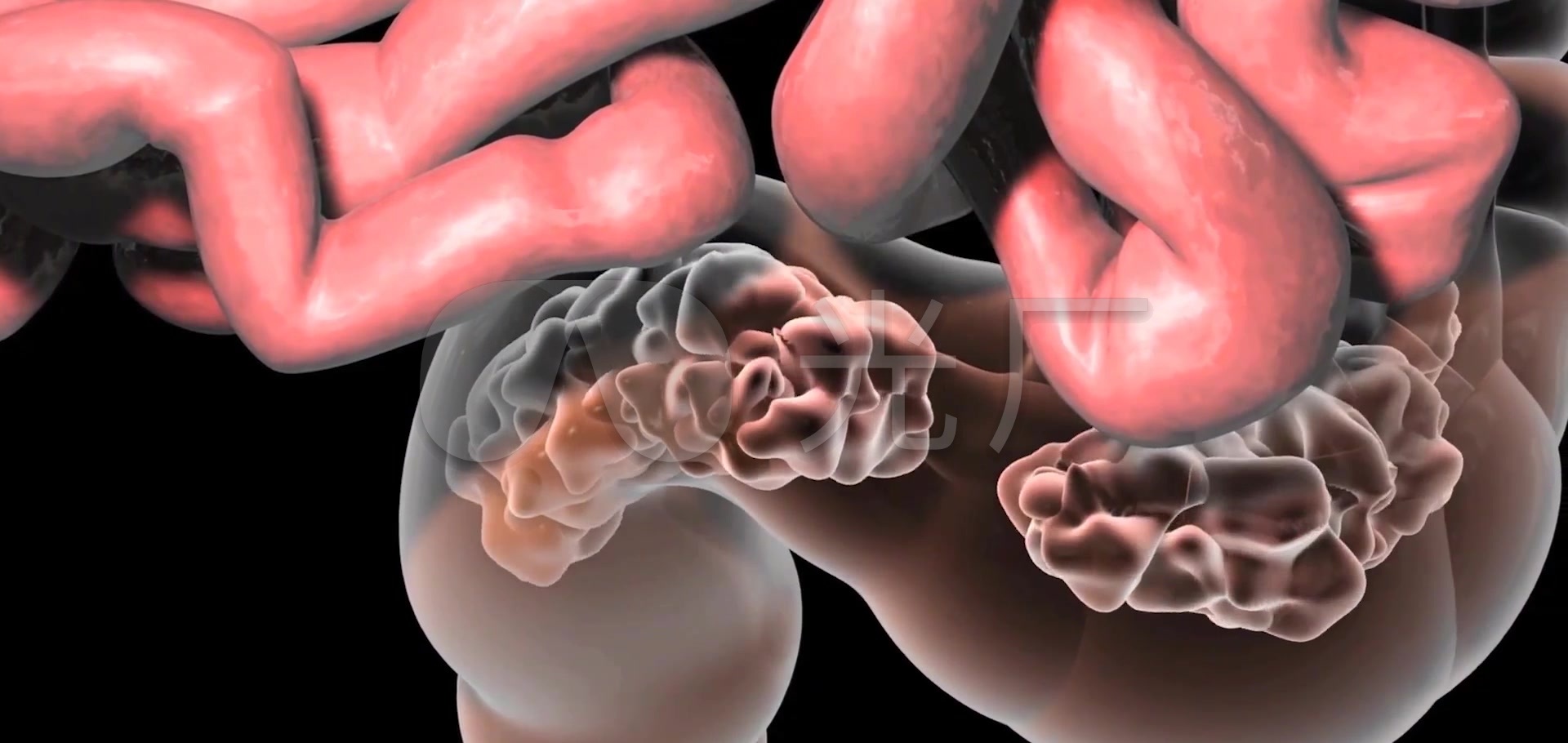 3D钡剂灌肠医疗视频_1920X910_高清视频素