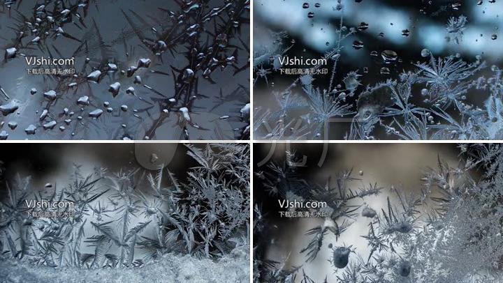 唯美冰花轻音乐背景舞台背景花朵下雪cg结冰结晶体雪晶冰体微观显微