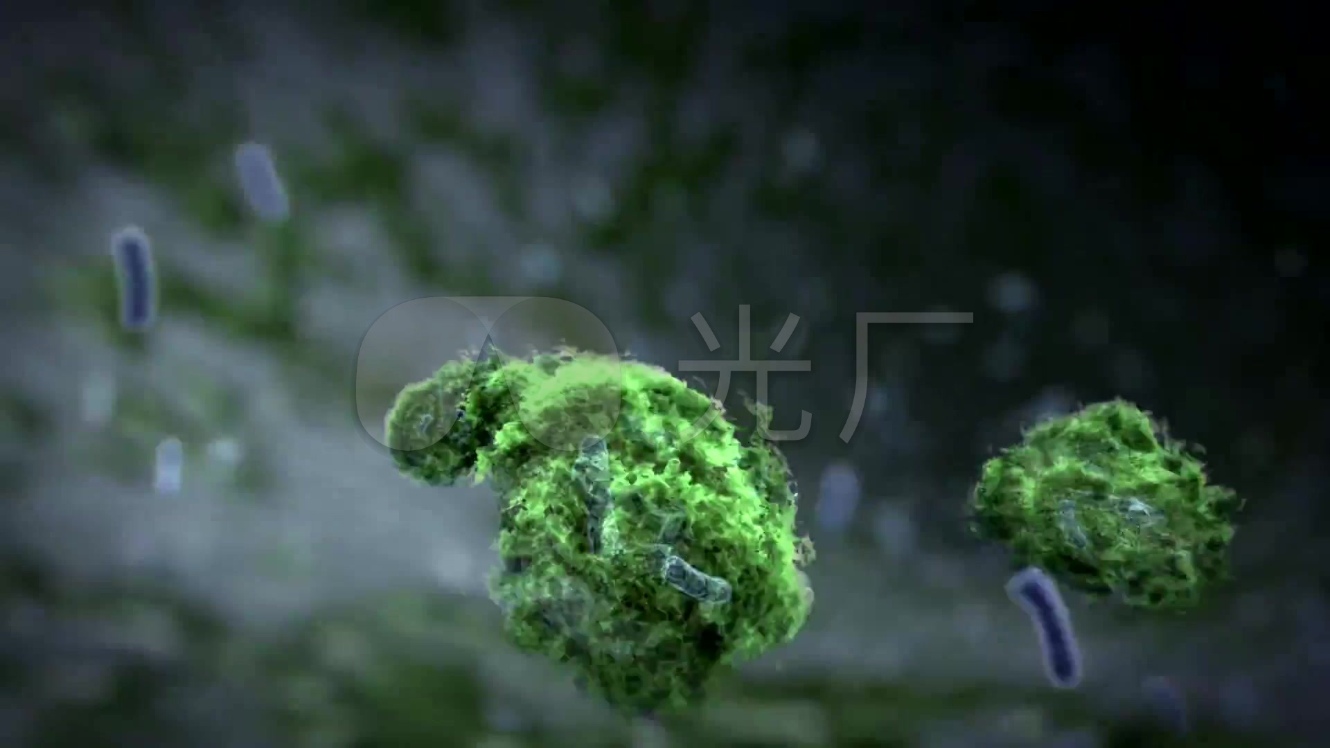 自来水细菌病毒传染三维动画_1920x1080_高清视频素材