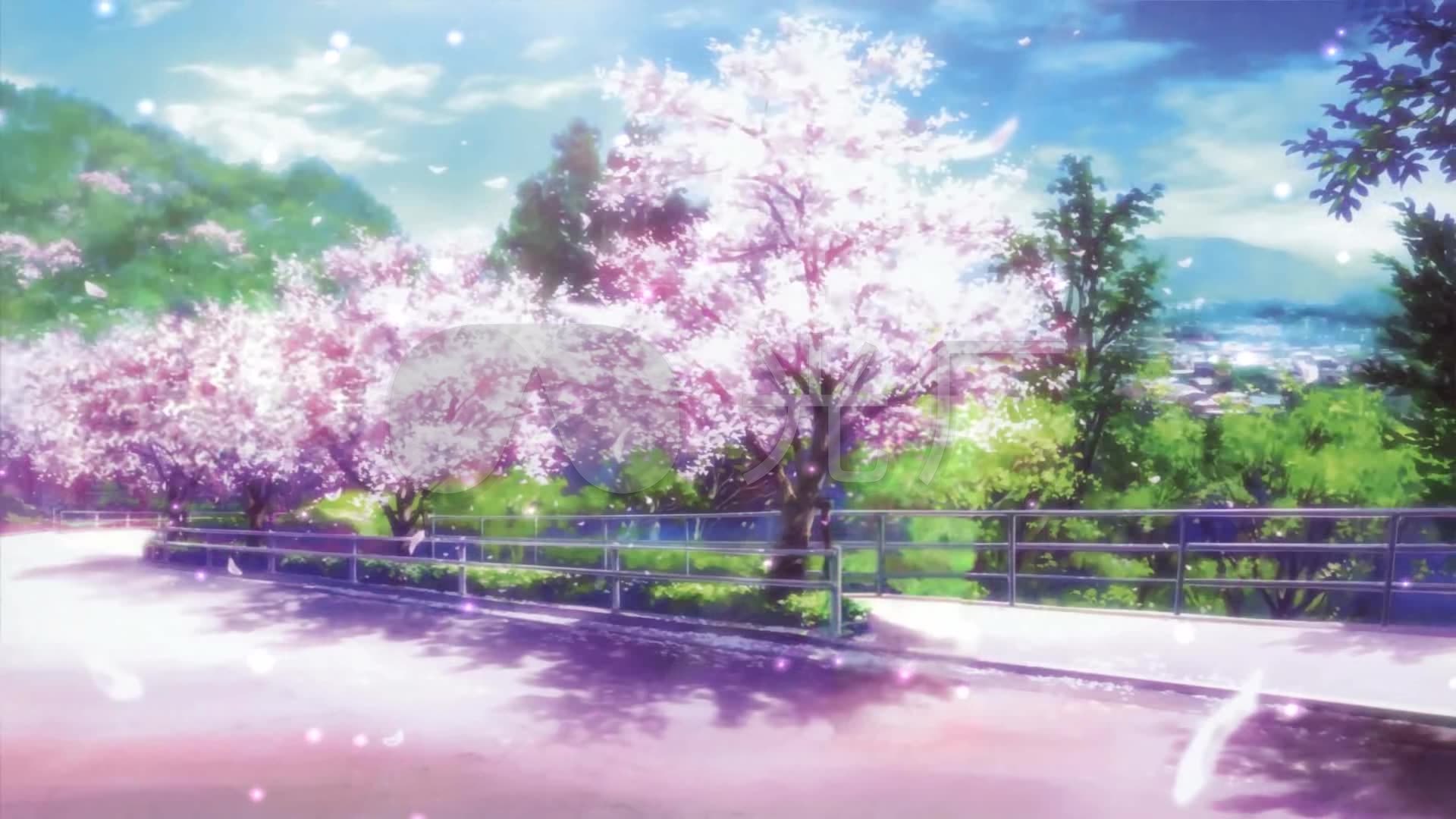 樱花动画壁纸_1920x1080_高清视频素材下载(编号:)