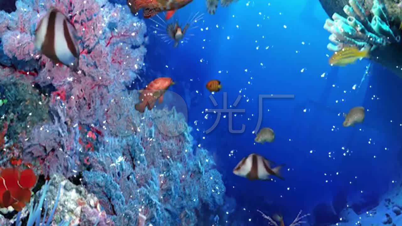 唯美海底世界卡通鱼群珊瑚水草_1280x720_高清视频(:)