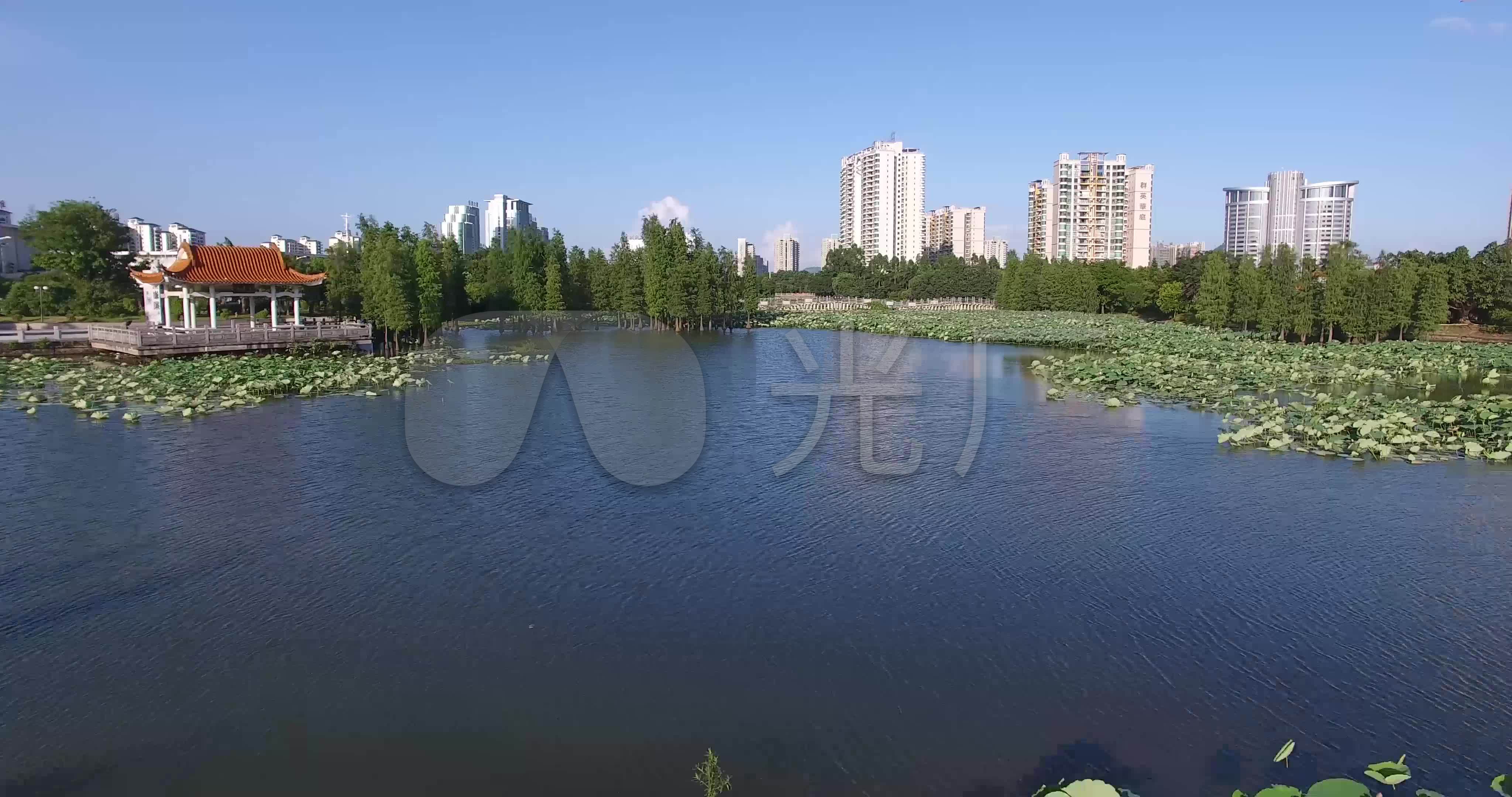 4k中山市火炬开发区得能湖公园9_4096x2160_高清视频