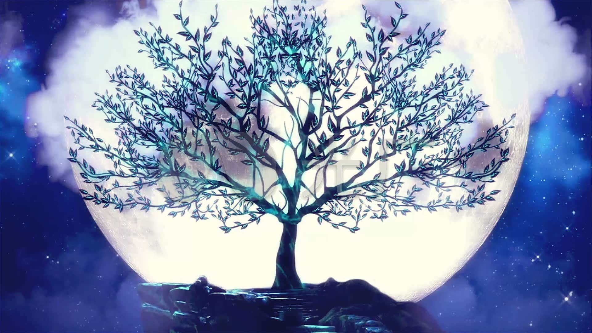 唯美梦幻月亮树_1920x1080_高清视频素材下载(编号:)
