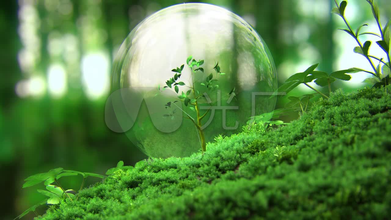 意境气泡绿色大自然自然生态