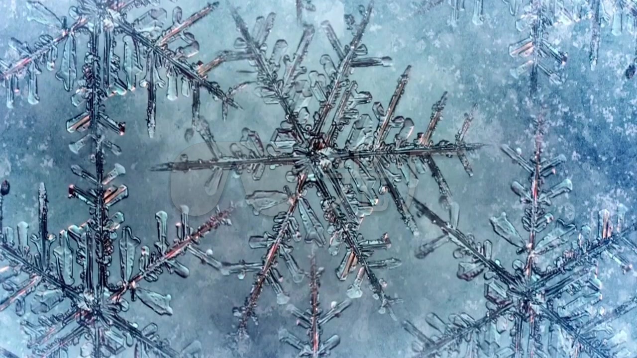 冰晶生长_雪花_结冰过程特写延时摄影素材