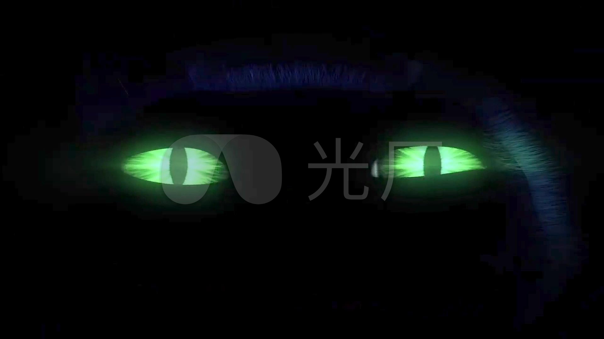 万圣节恐怖蝙蝠怪兽恶魔眼睛_1920x1080_高清视频素材