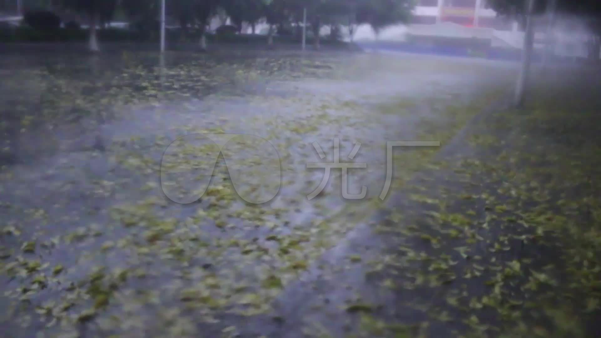 4狂风落叶大雨201704-6
