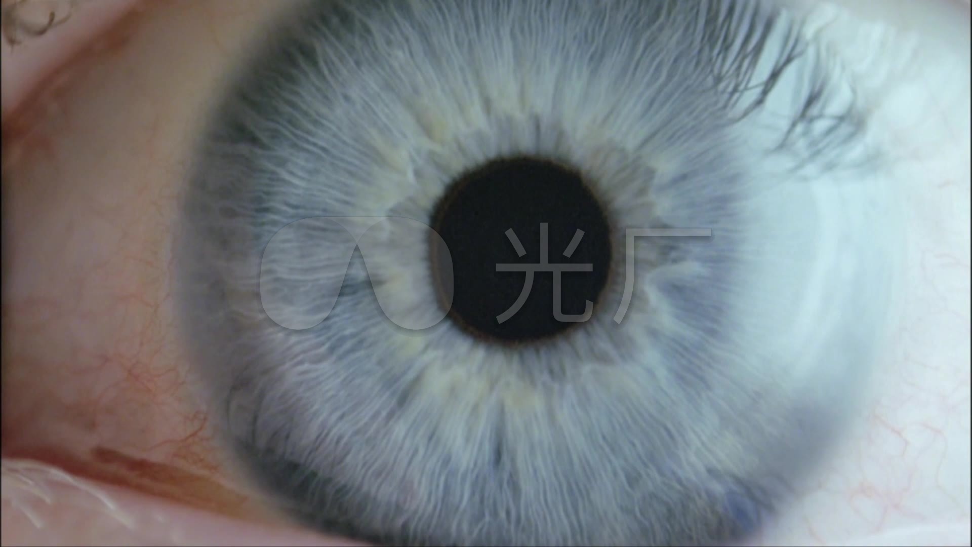 人眼睛眼球特写视频素材_瞳孔放大变化_1920x1080_(:)