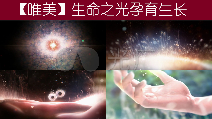 唯美生命之光孕育生长