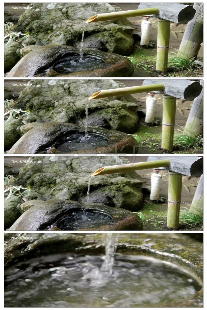竹筒流水 水声 净化心灵 大自然声音