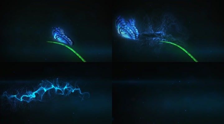 蝴蝶飞行轨迹粒子拖尾