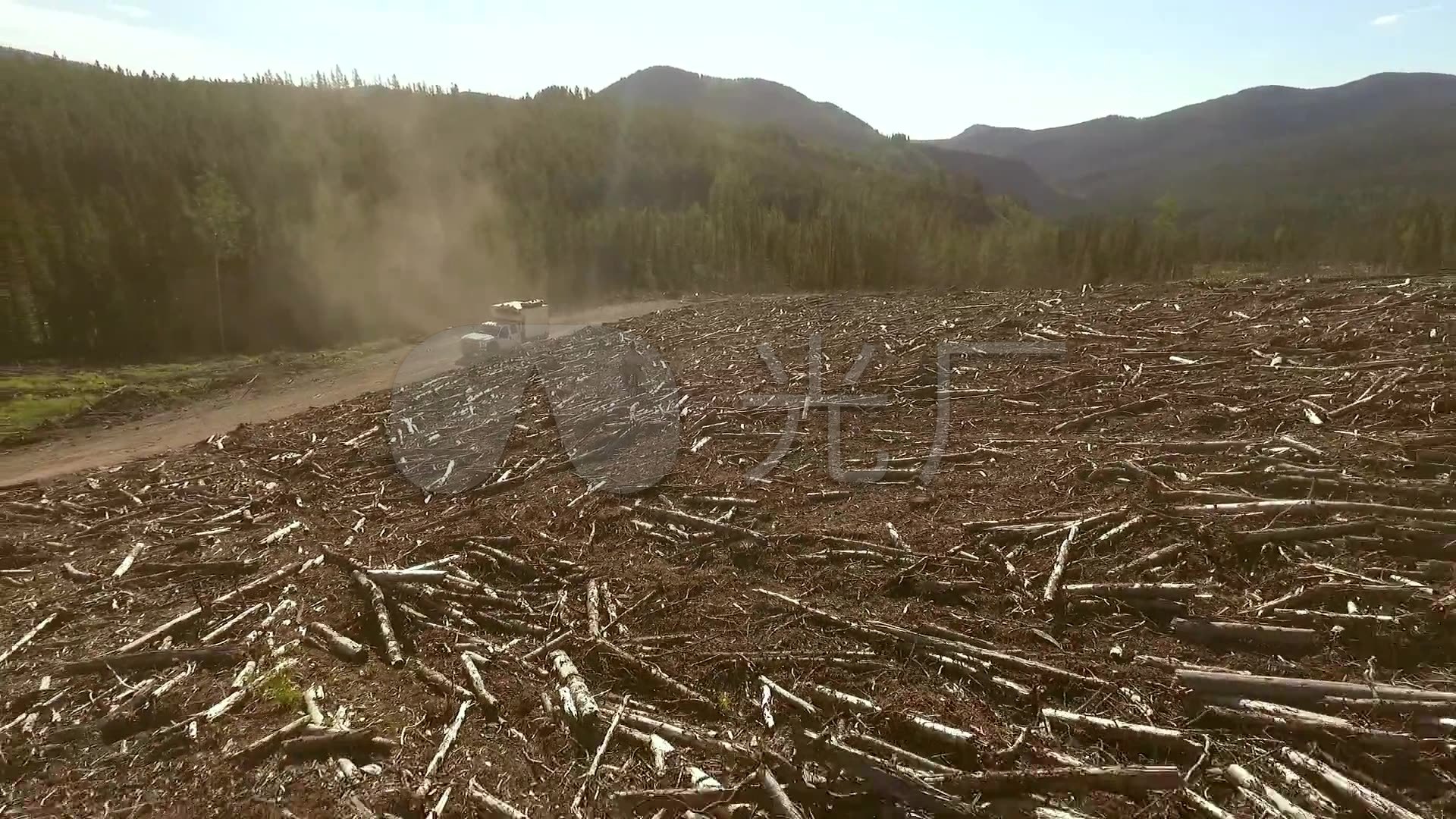 森林砍伐生态环境破坏木材水土流失