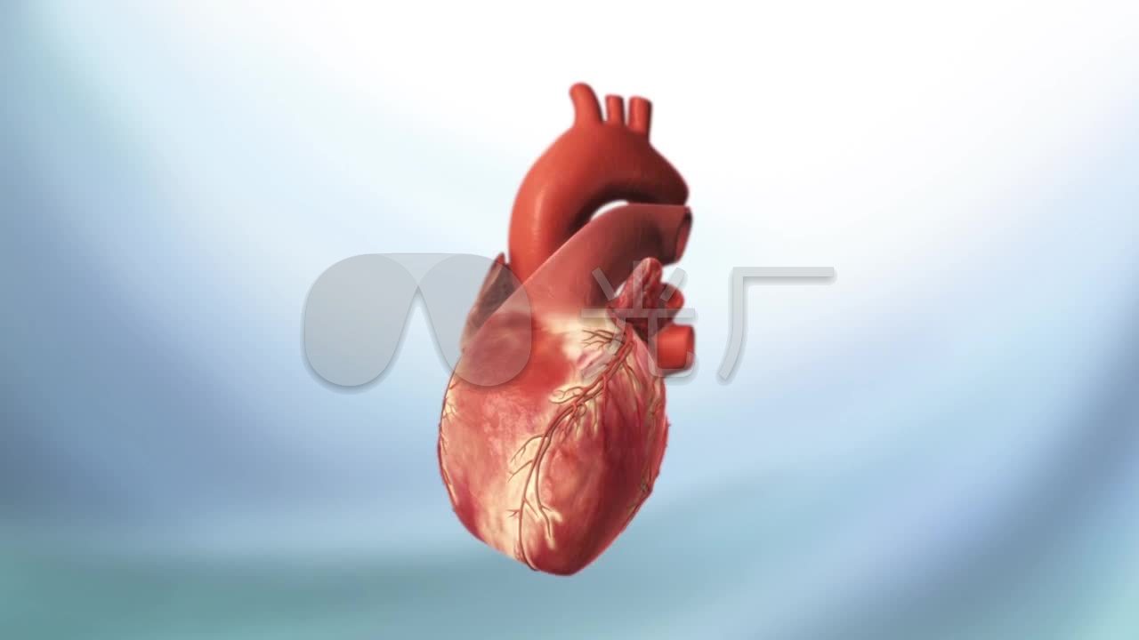 急性冠状动脉综合征医疗三维机理动画