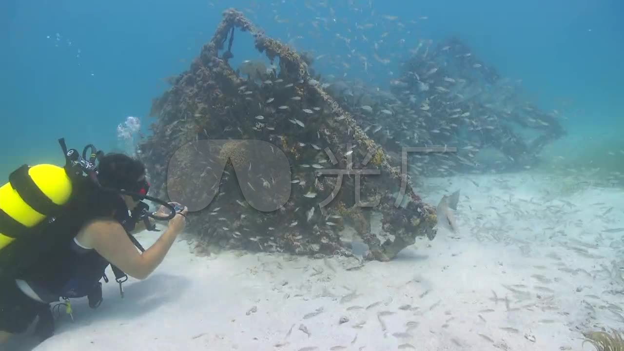 海底世界各种鱼类_1280X720_高清视频素材下