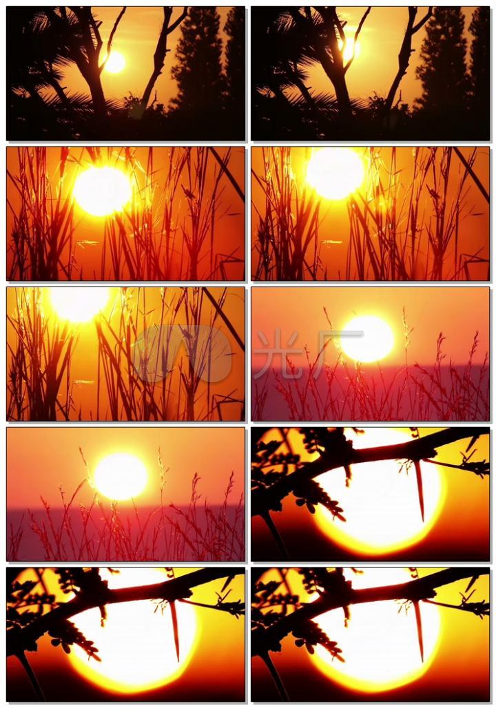 日出朝阳太阳升起唯美实拍