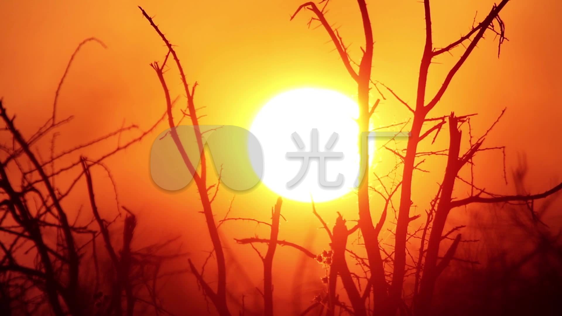 朝阳日出太阳升起唯美实拍视_1920x1080_高清视频素材