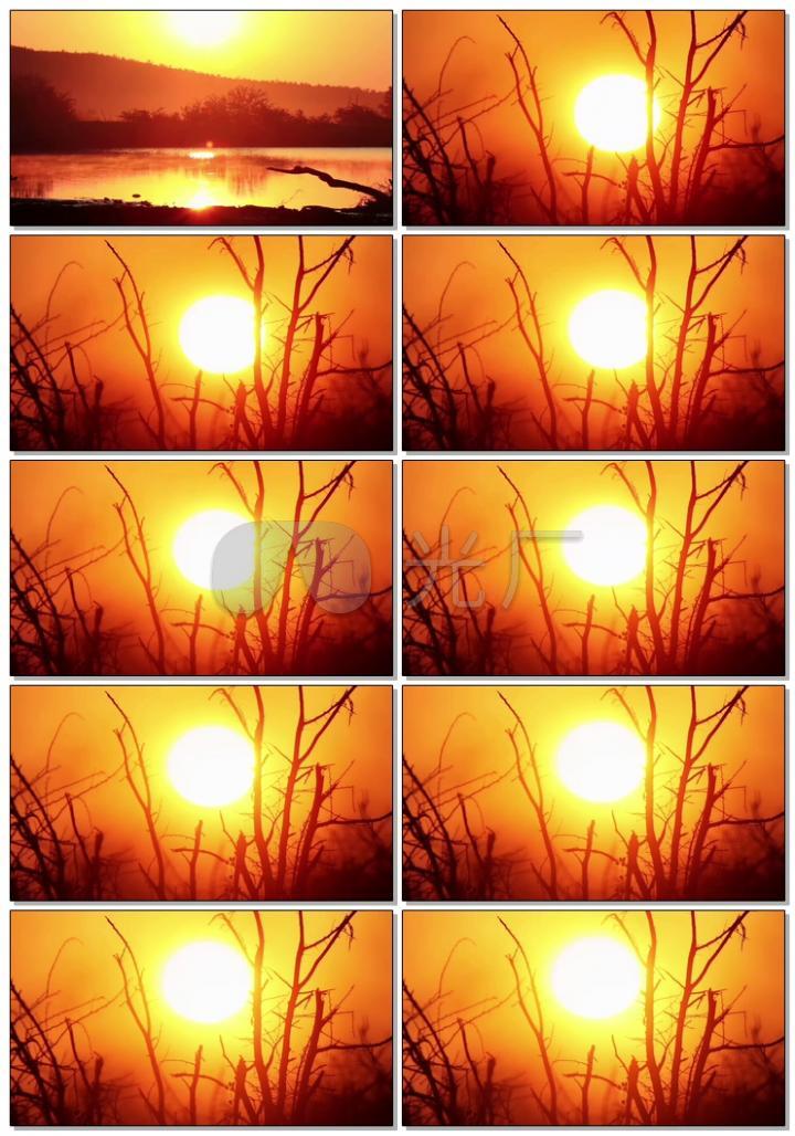 朝阳日出太阳升起唯美实拍视