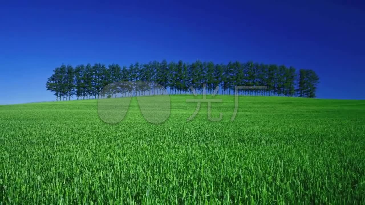 唯美春天大自然风景_1280720_高清素材(编号