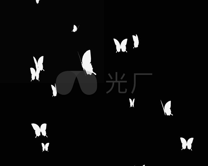 白色蝴蝶飞舞