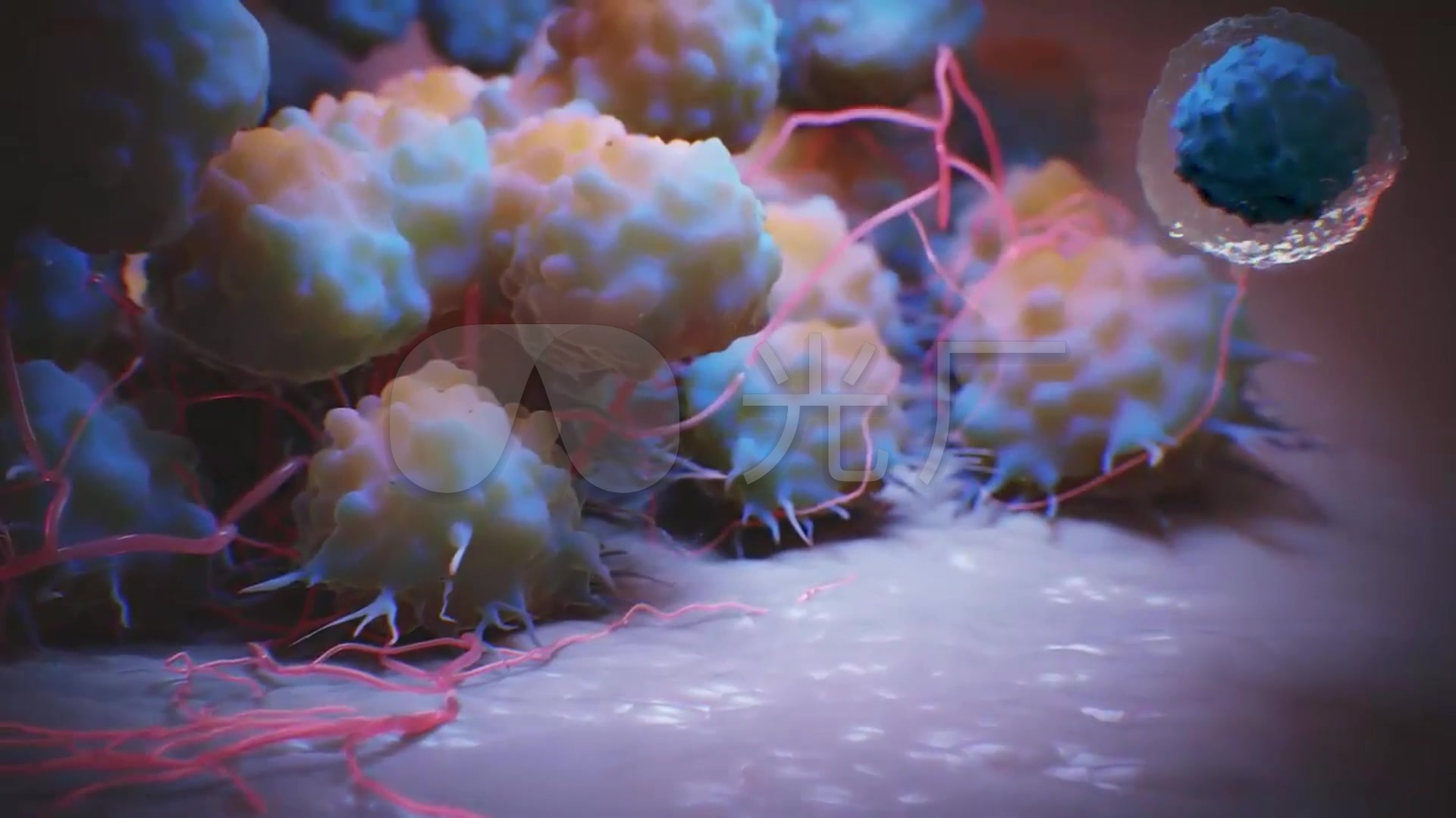 3d医学人体体内癌症细胞活跃动态画面