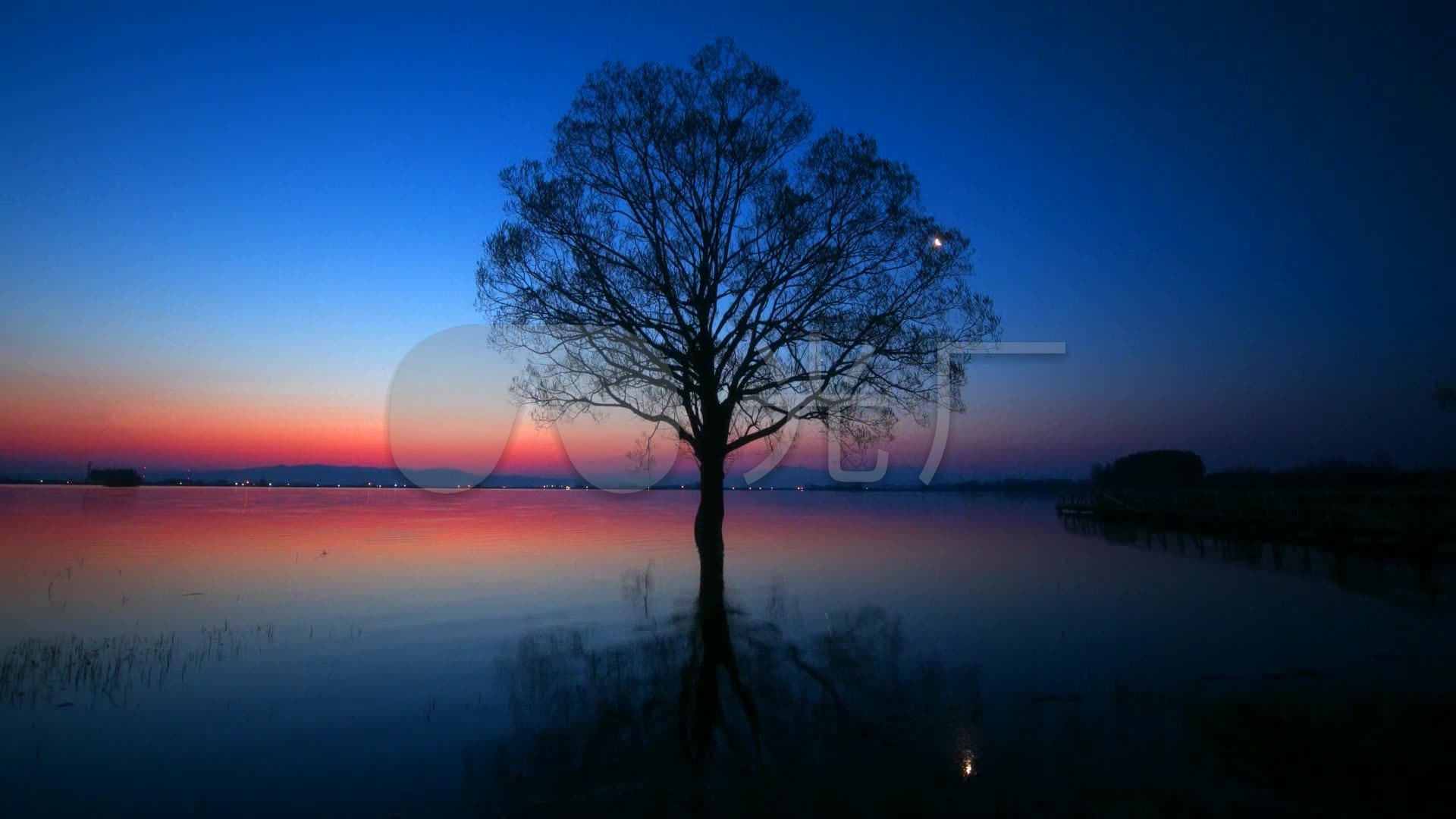 美丽的大自然夜景量光_1920x1080_高清视频素材下载