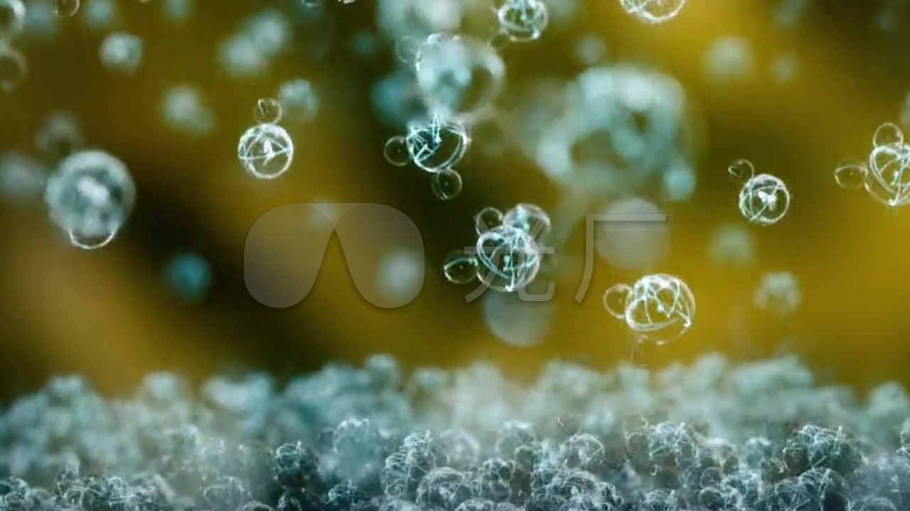 微观水分子