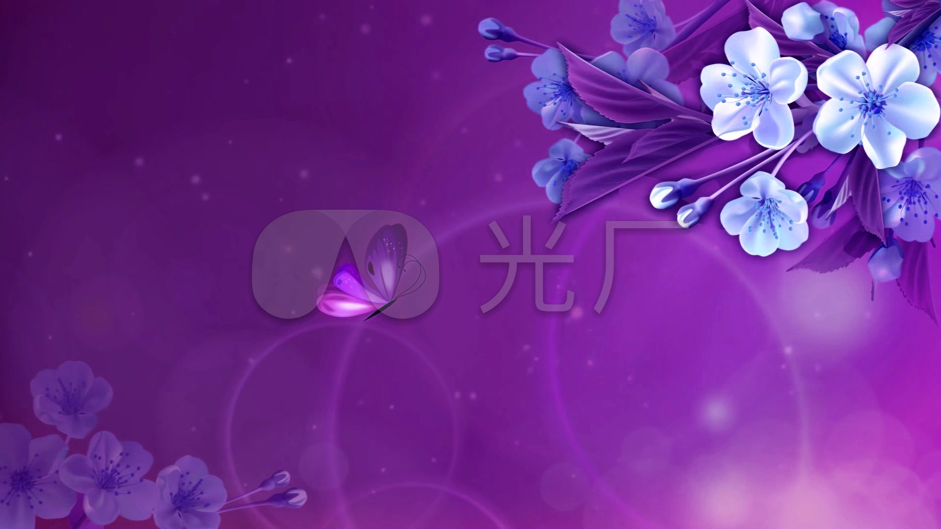 唯美栏目包装紫色背景素材