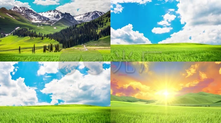 草原上升起不落的太阳完整版