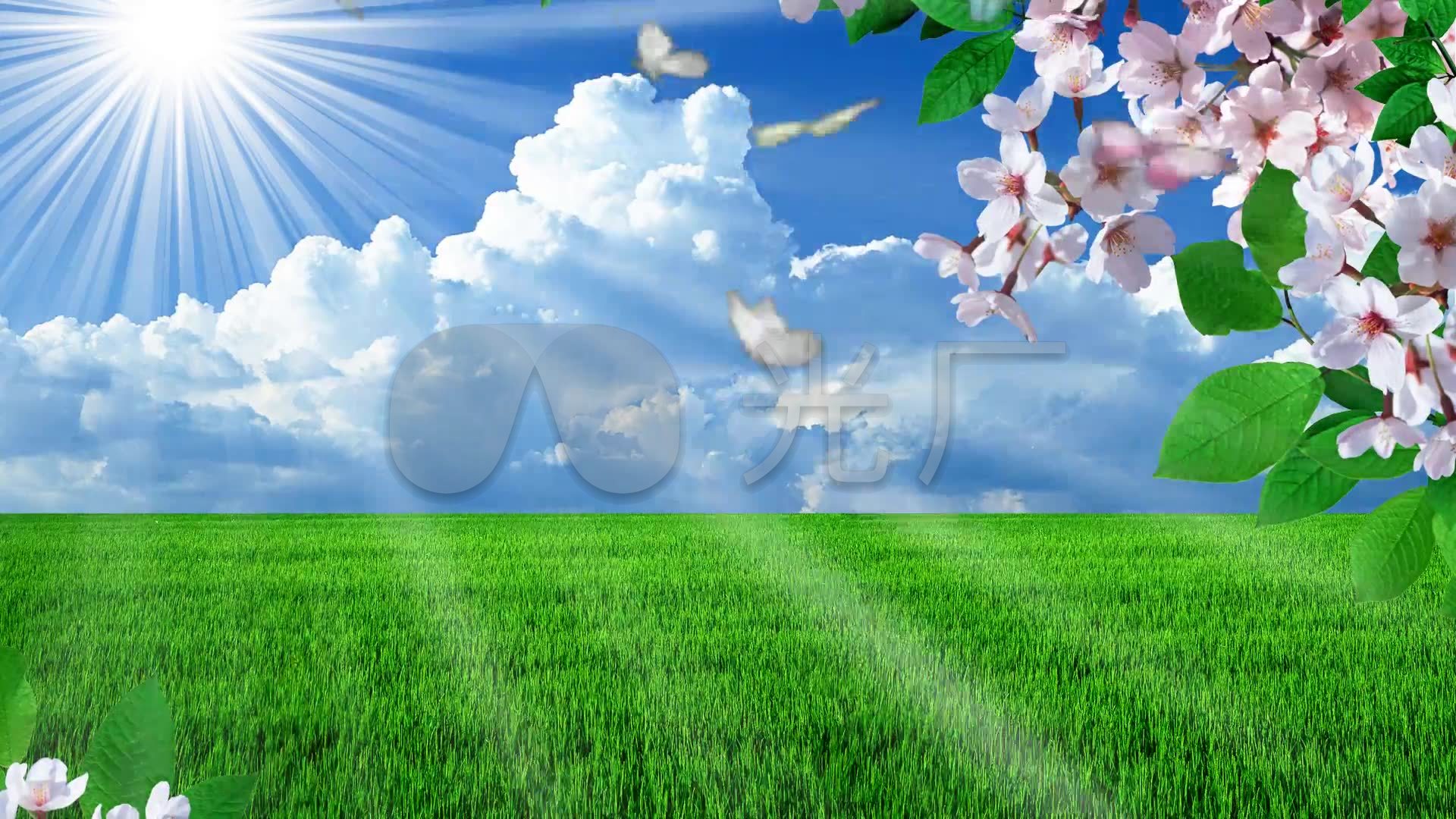 唯美梦幻清新自然风光背景