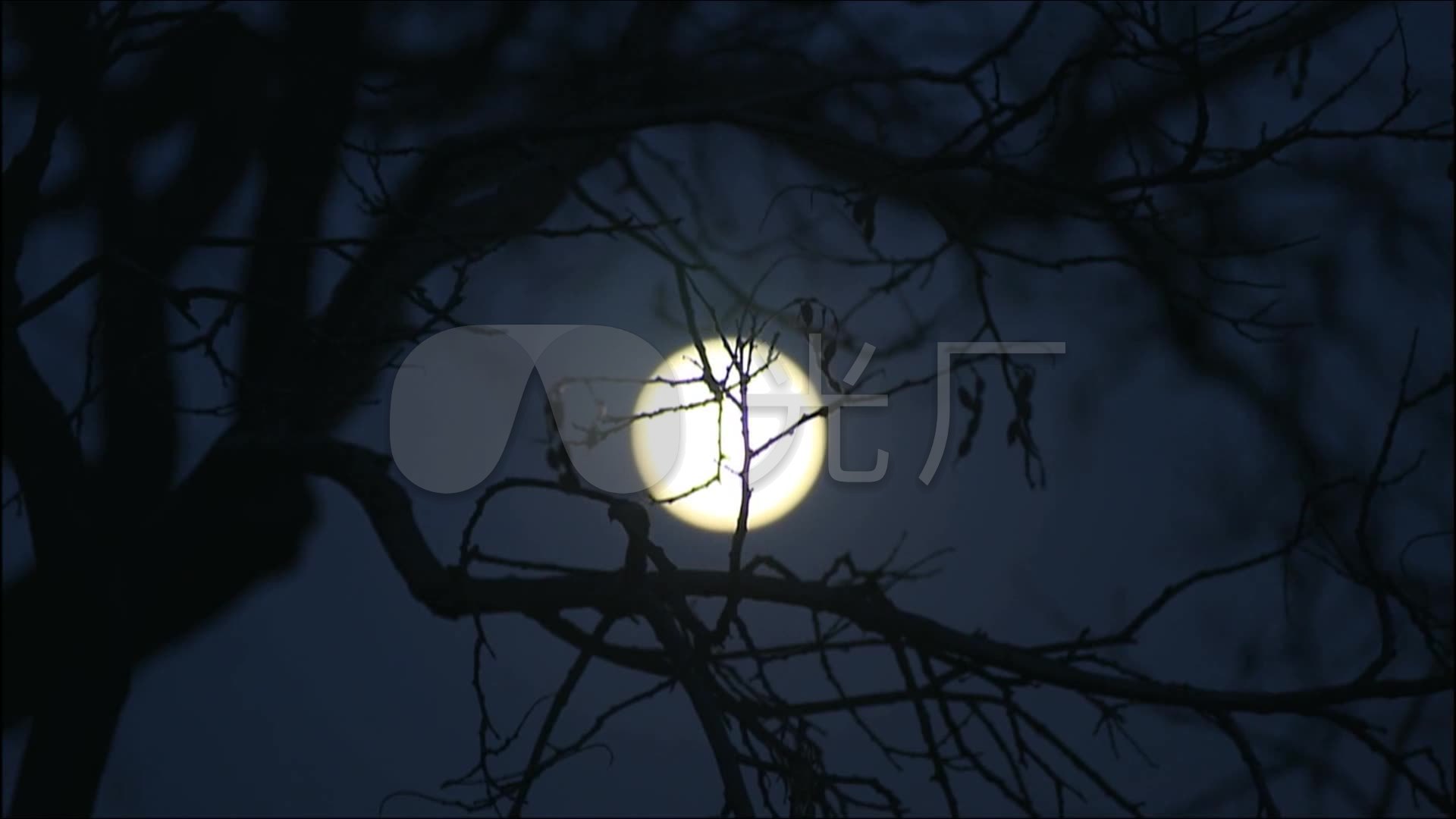 月亮升起空镜头夜晚唯美