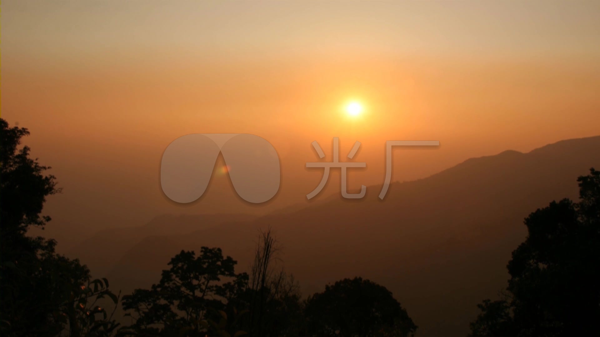 山林日出 森林的早晨 实拍素材