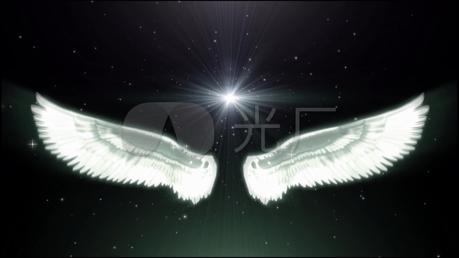 天使之翼图片素材-编号07336963-图行天下