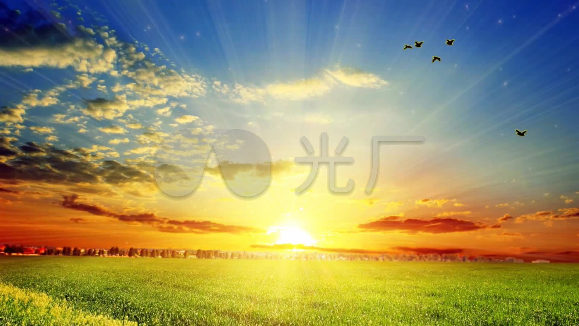 草原清晨阳光