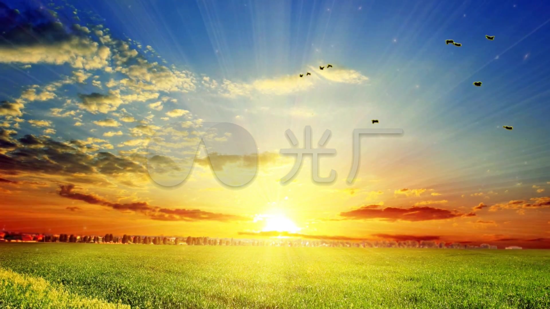 草原清晨阳光