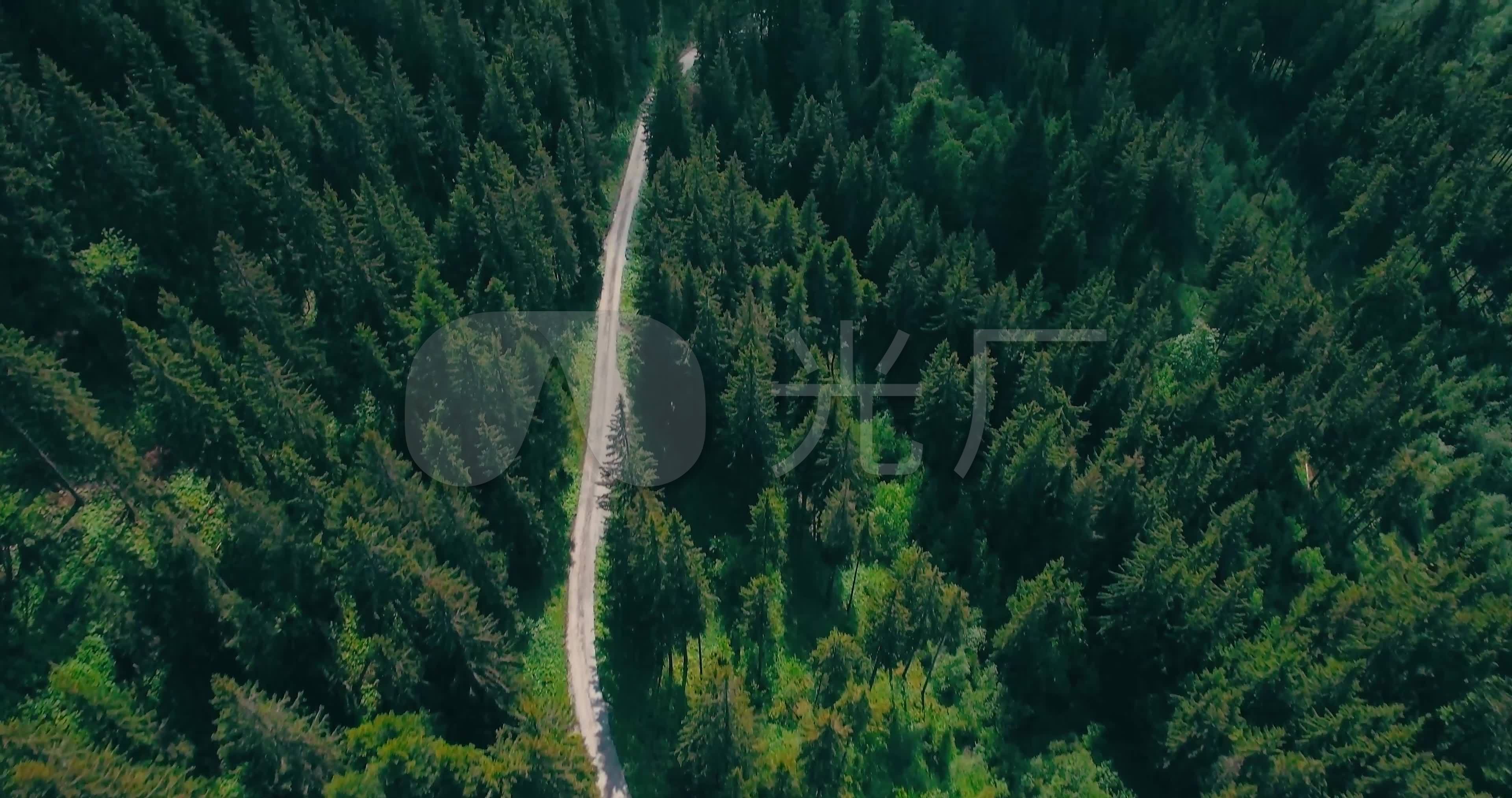 森林之路(瑞士鸟瞰图)