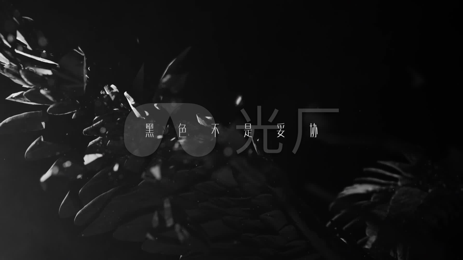 1920x1080电脑壁纸黑色,电脑壁纸1920x1080超清 黑色动物元素_1920x1080_高清视频素材下载(编号:)_vj