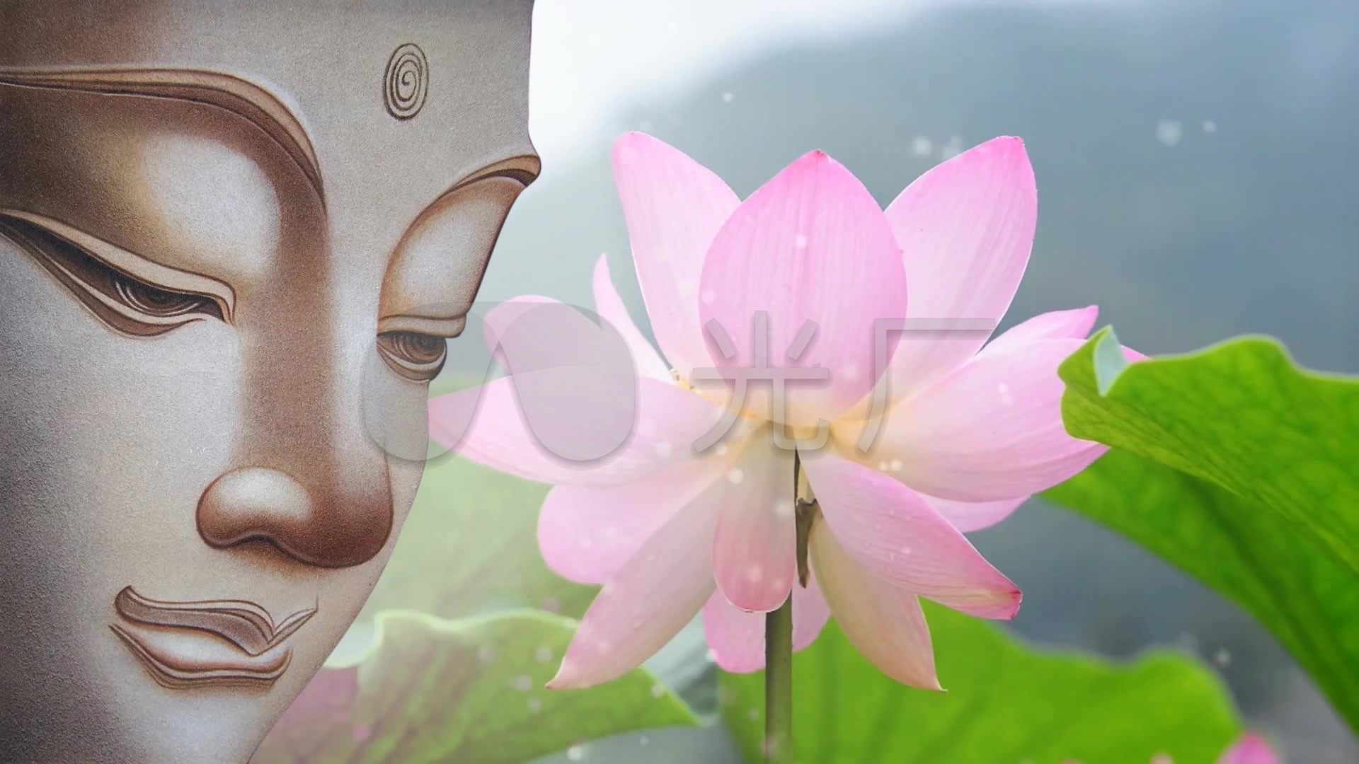 视频素材 舞台背景 中国风背景 佛祖莲花粒子  来自视频原始文件或