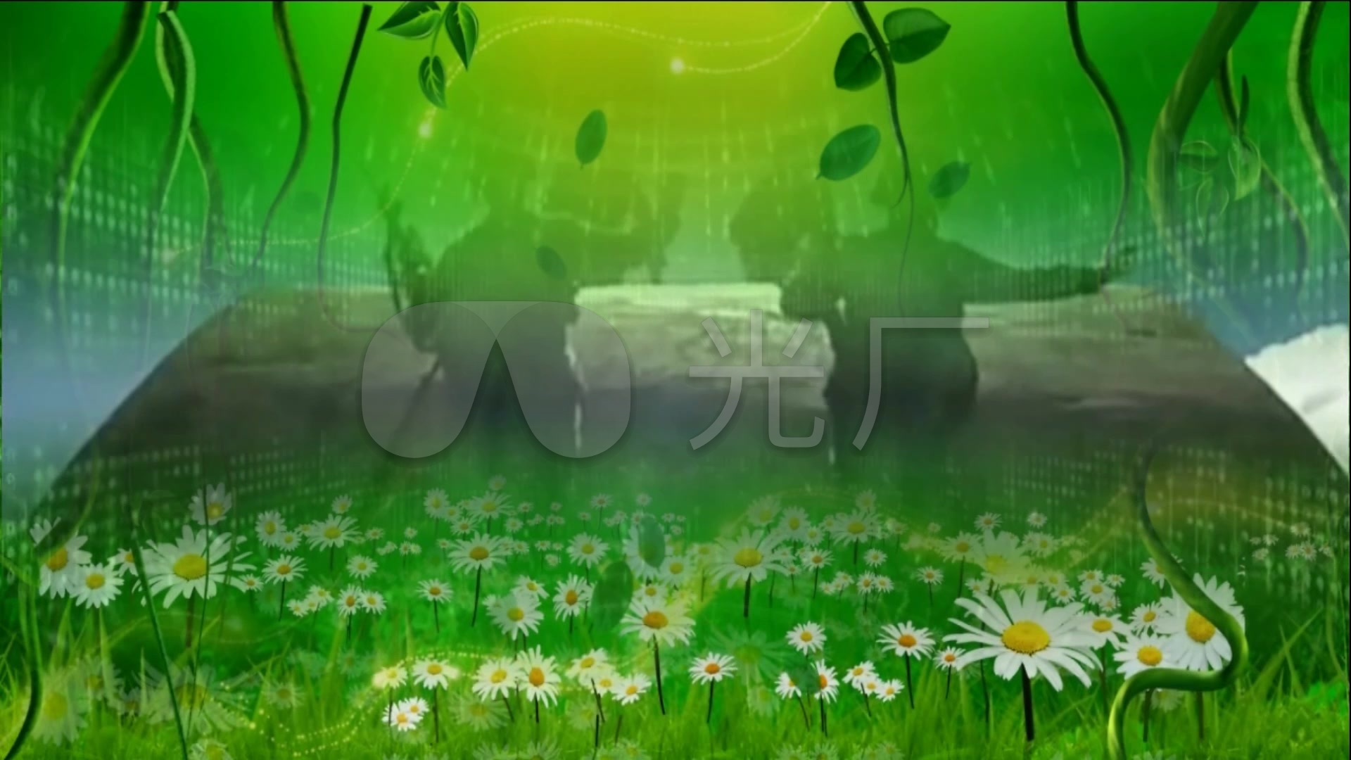 歌曲《军中绿花》背景视频_1920x1080_高清视频素材