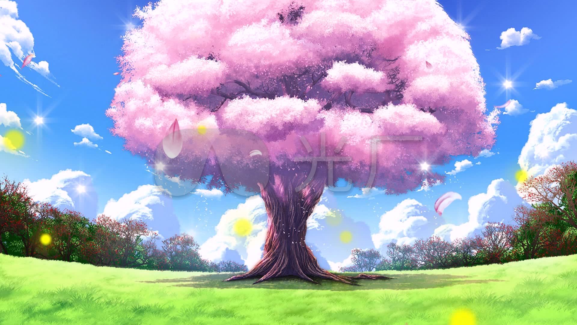 蓝天白云绿地唯美樱花树_1920x1080_高清视频素材下载
