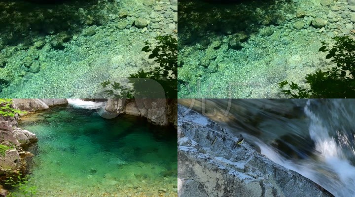 4K森林溪流水潭河水清澈溪水