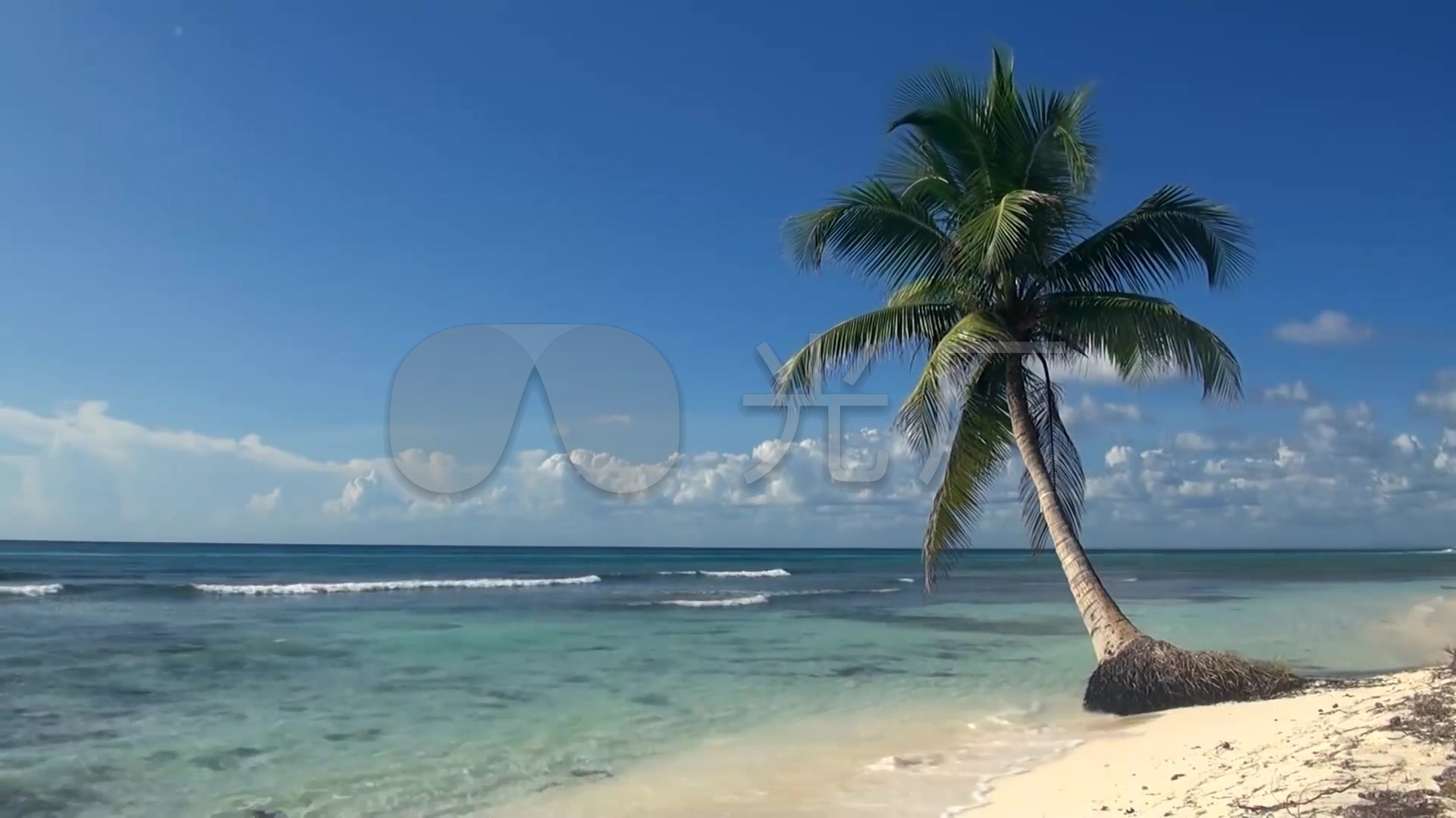海边沙滩椰树风景