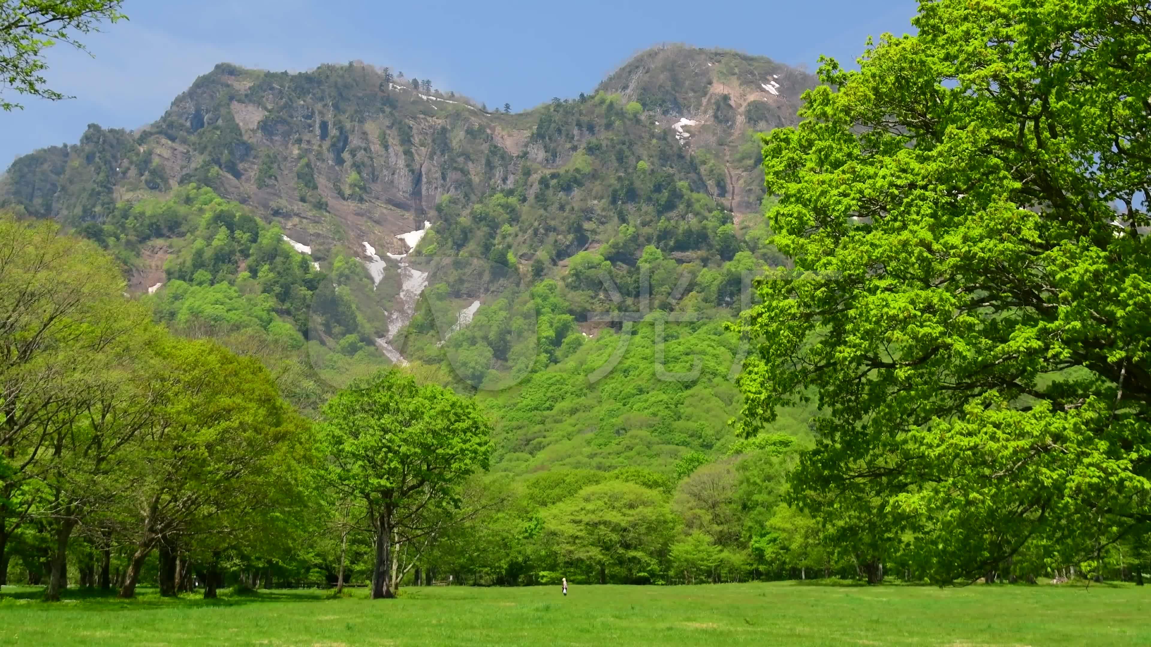 4K超清超美丽的绿色世界大自然美景_3840X2160_高清视频素材下载(编号:1397546)_实拍视频