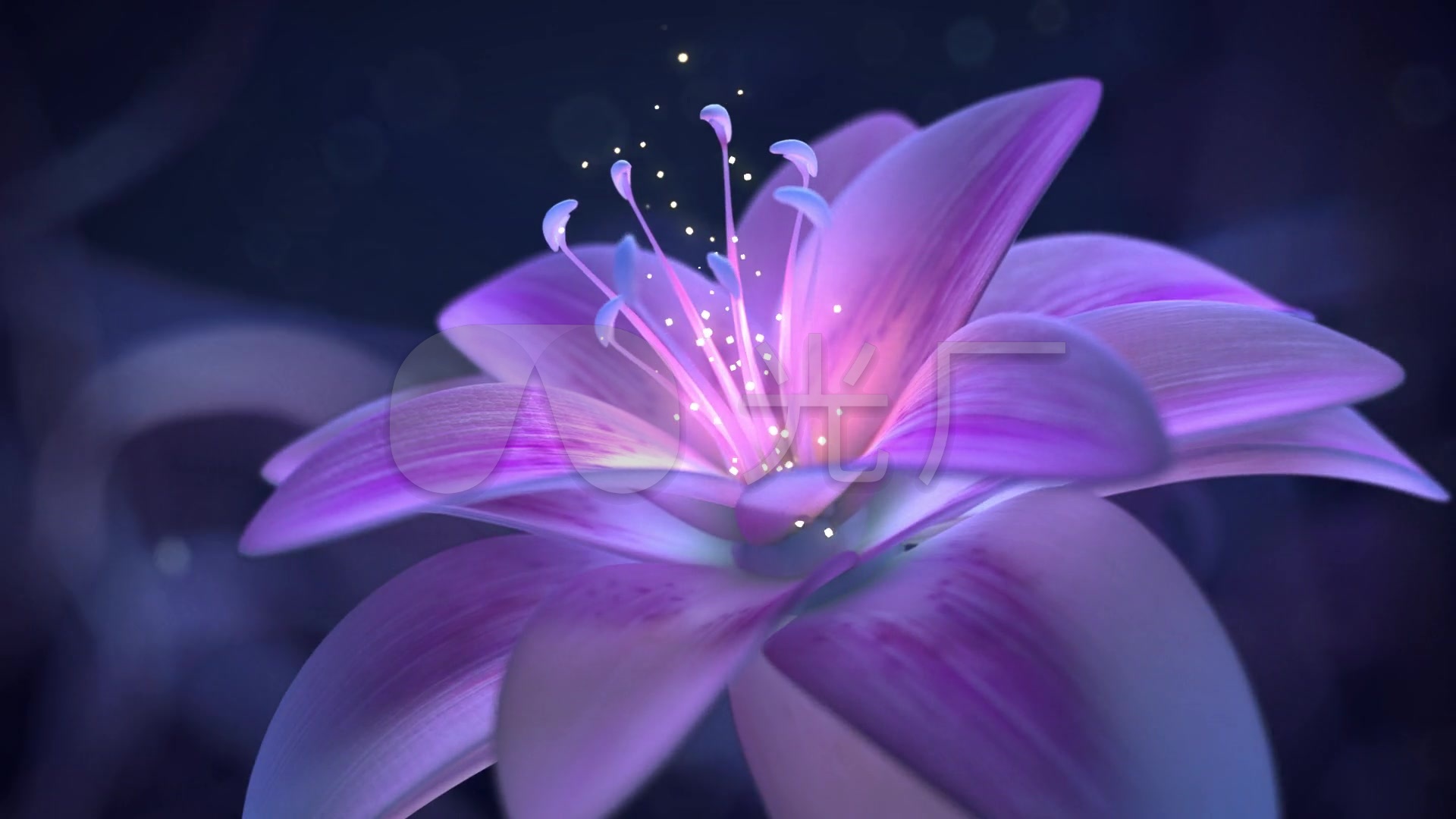 3d花朵绽放唯美艳丽开花花开_1920x1080_高清视频素材