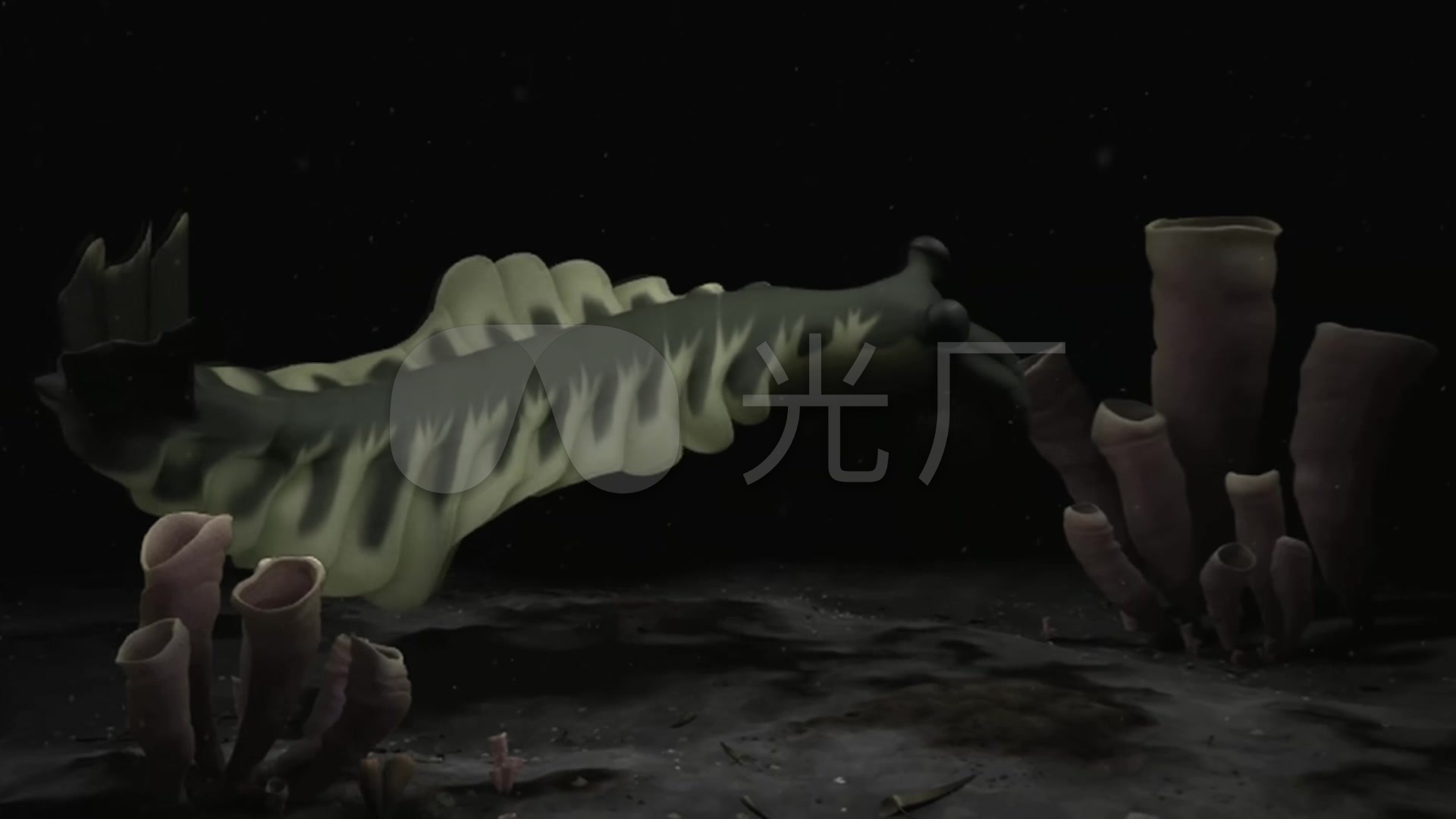3d三叶虫动画视频素材_1920x1080_高清视频素材下载(编号:1401979)