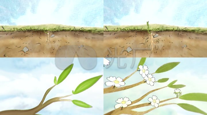 植物快速生长种子破土而出发芽生长大树高清视频素材下载
