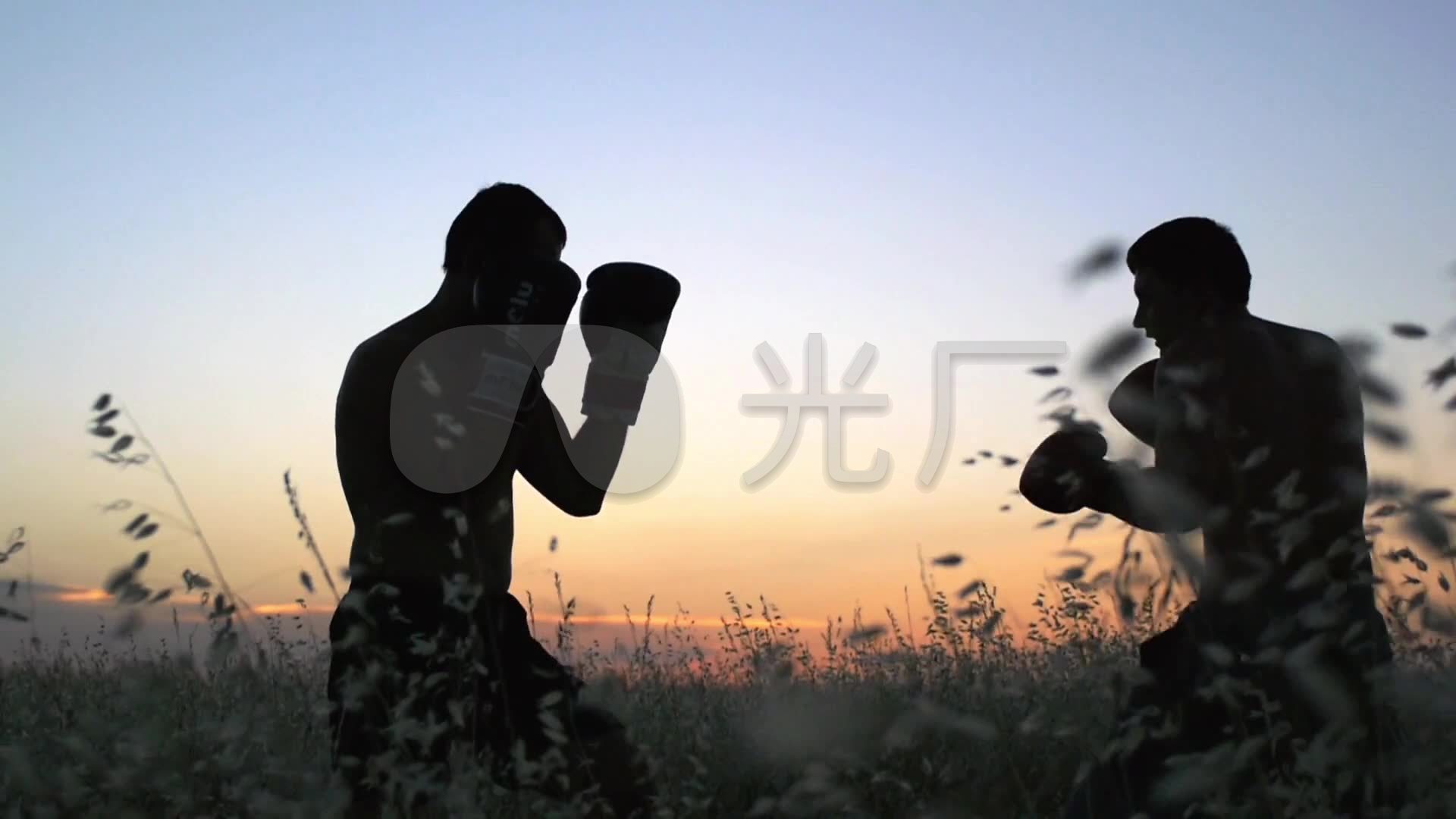 拳击壁纸1080,拳击壁纸1920 拳击格斗男健身_1920x1080_高清视频素材下载(编号:)