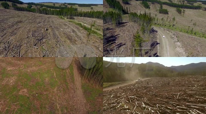 污染环境破坏砍伐树木森林水土流失样片视频高清素材